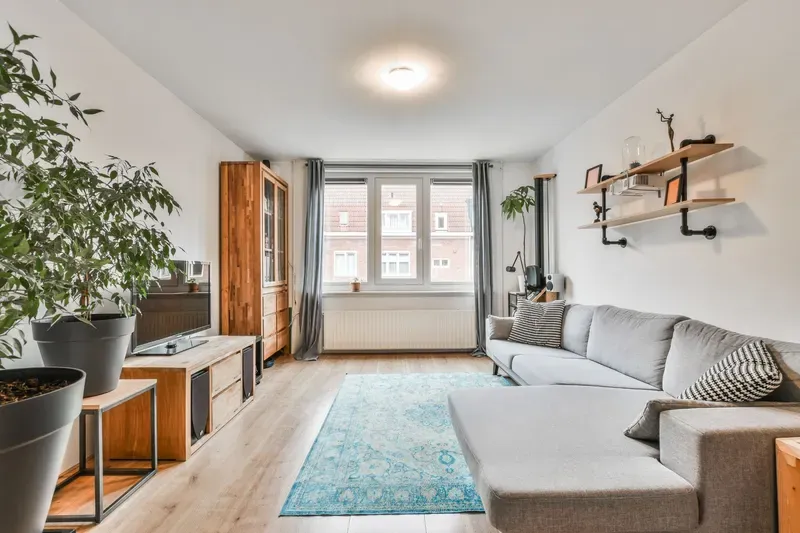 Helles Wohnzimmer mit Sofa, Teppich, Pflanze und Holzregalen.
